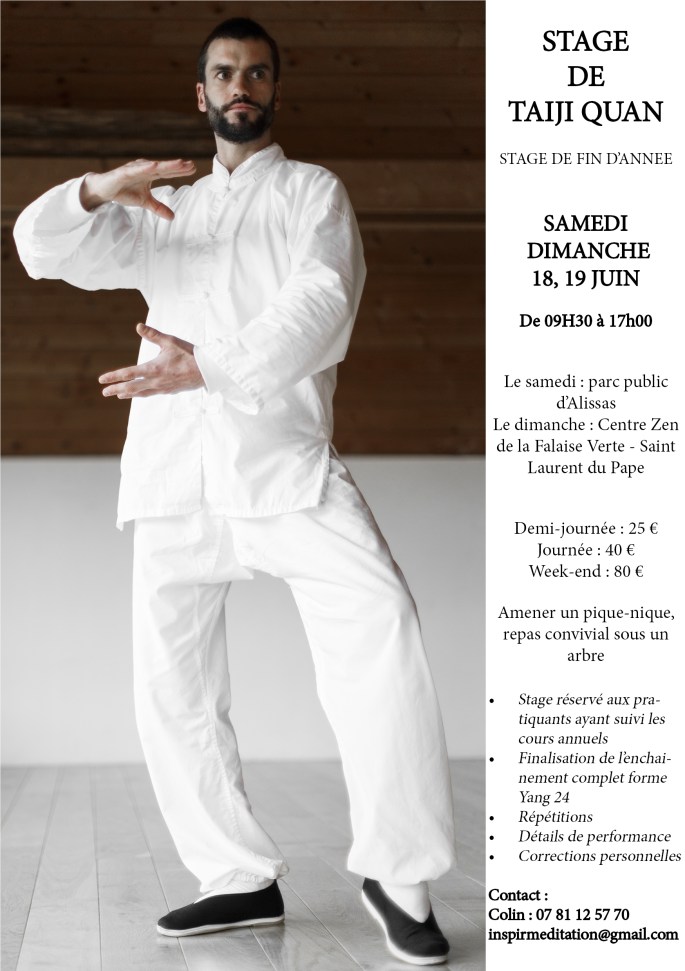 Affiche stage taijquan fin dannée.jpg